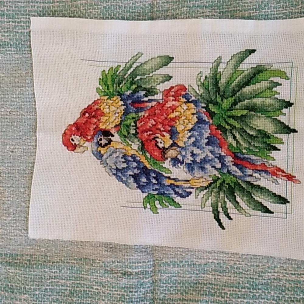 Finished cross stitch macaws